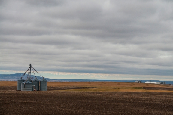 Solitary grain silos stand watch over vast, empty fields.