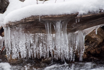 The splashing of the stream makes for fascinating shapes in ice
